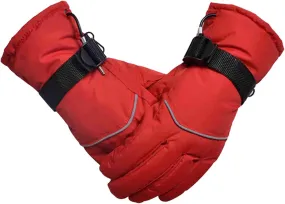 12V Montorcycle Heated Gloves, Motorcycle Charging Heated Gloves,Warmer Gloves, Full Finger Gloves for Snow Skiing Ice Skating Riding Motorcycle,B
