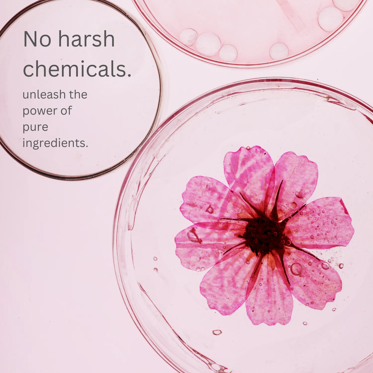 STAR RESCUE Pink Clay Mask - 120ml dual action detoxifying and brightening clay mask